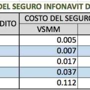 Seguro Infonavit danos